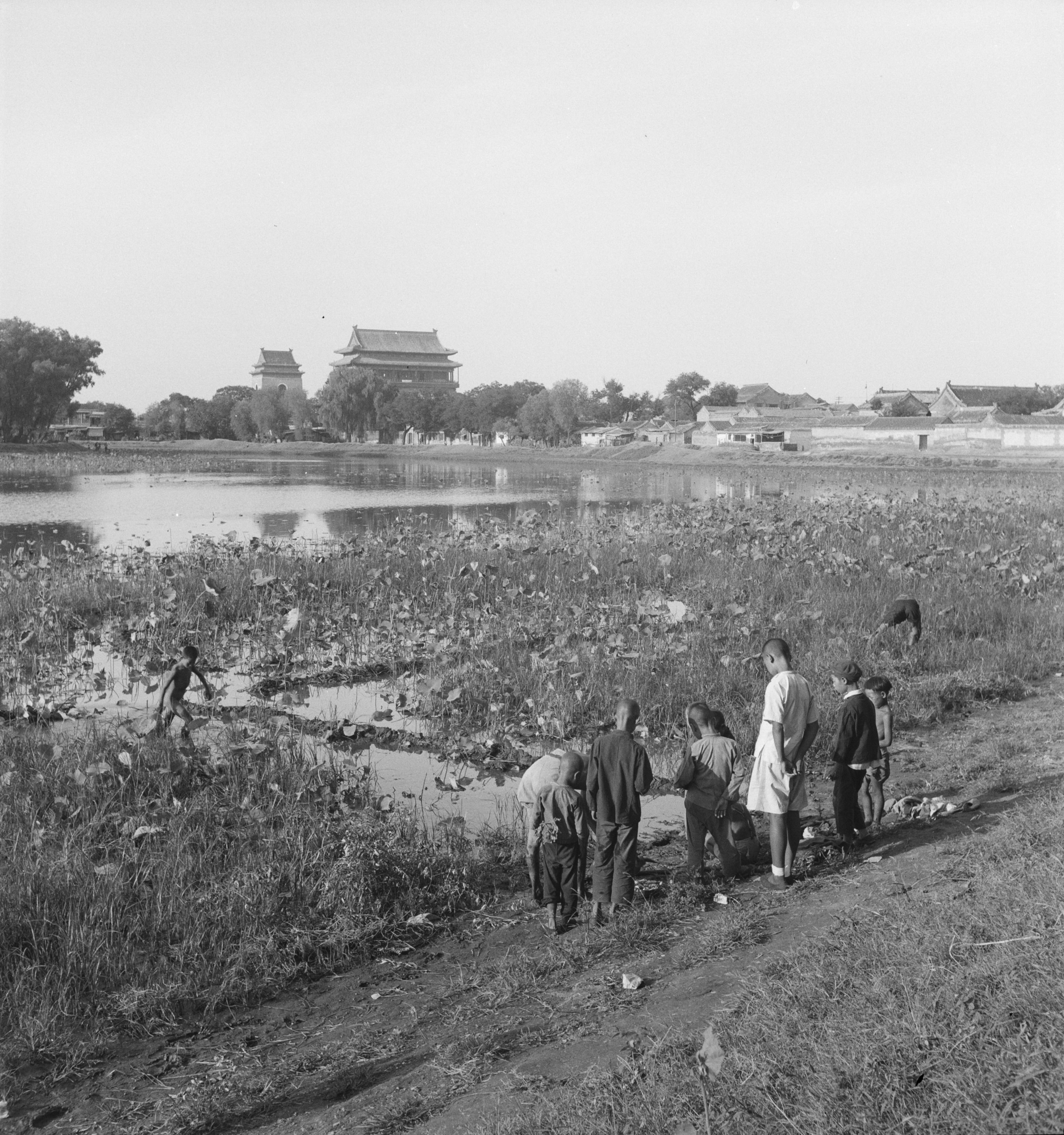 幻灯片-知本资料汇集库