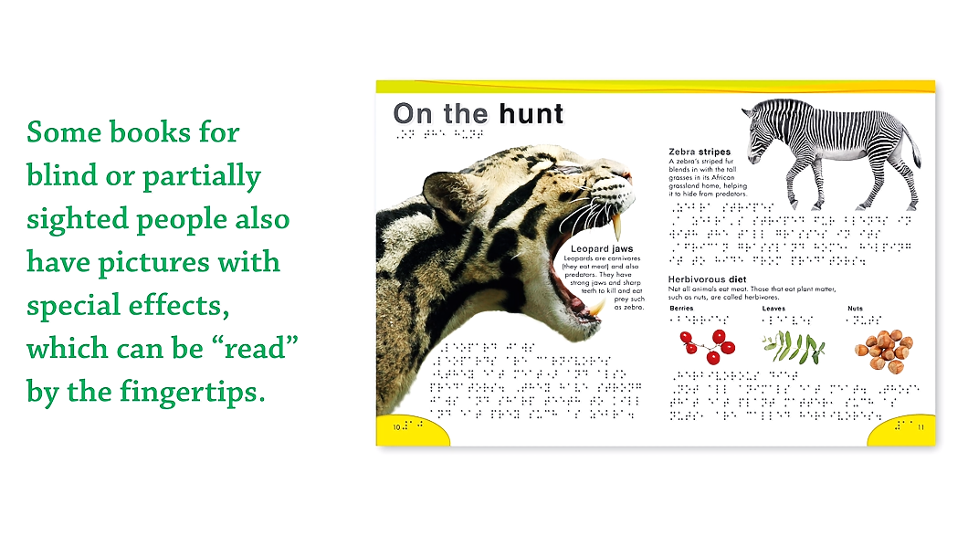 幻灯片-知本资料汇集库